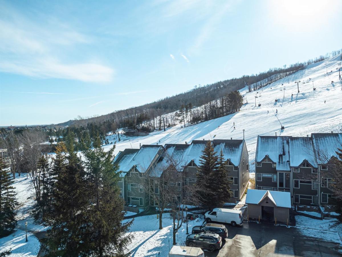 Modern Mountainside Ski In Ski Out 87111 Blue Mountains Dış mekan fotoğraf
