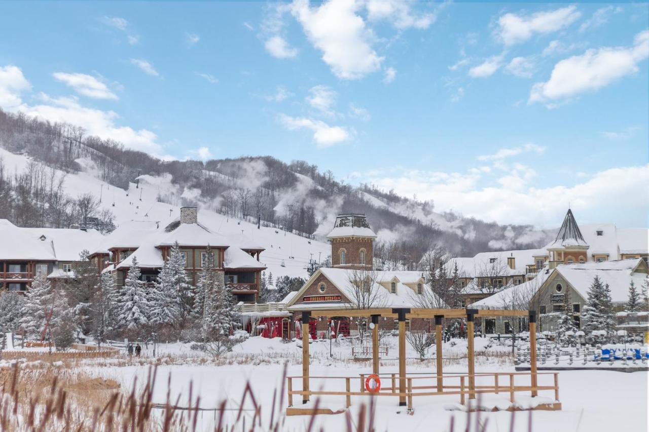 Modern Mountainside Ski In Ski Out 87111 Blue Mountains Dış mekan fotoğraf