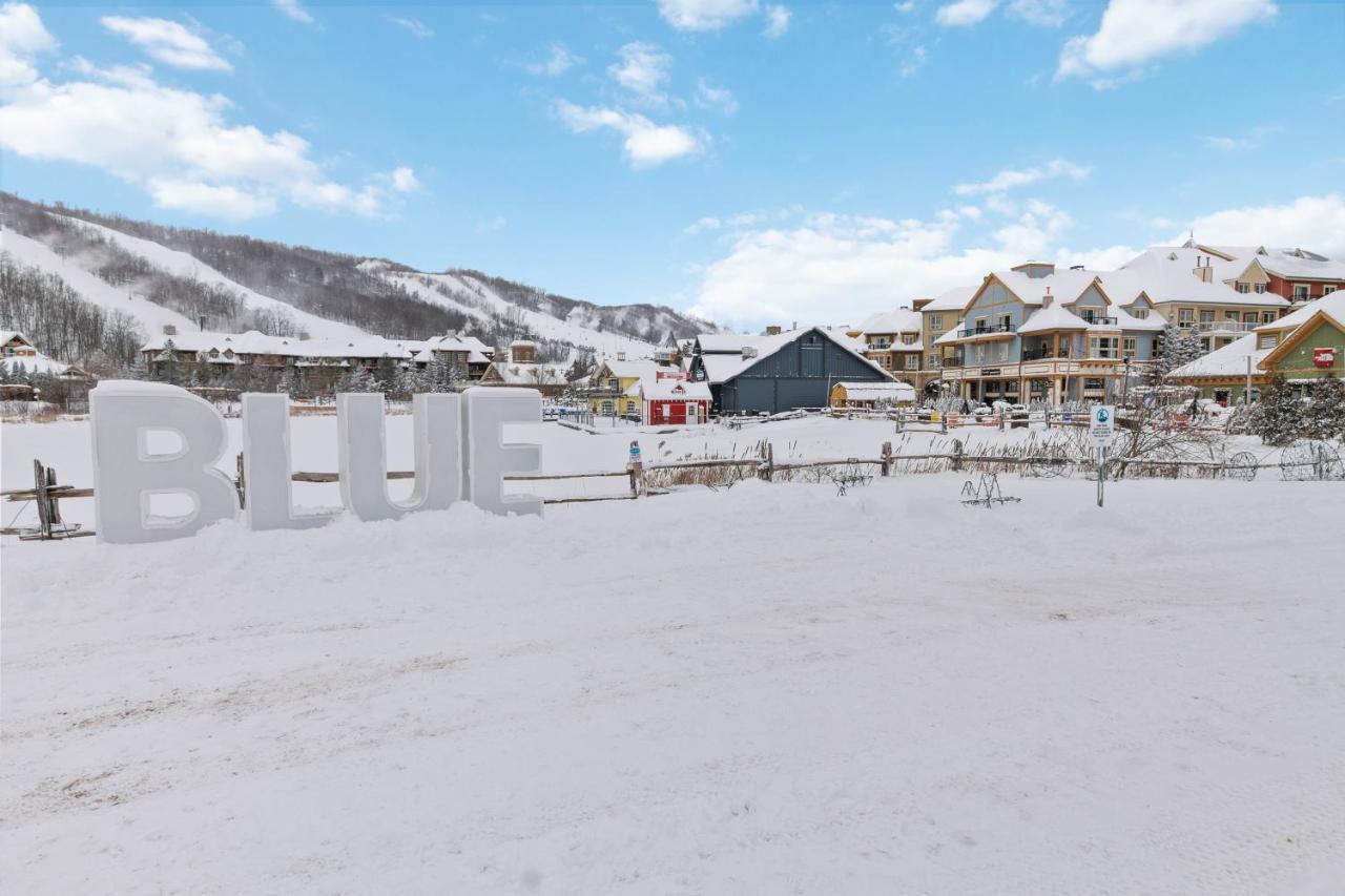 Modern Mountainside Ski In Ski Out 87111 Blue Mountains Dış mekan fotoğraf